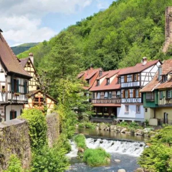 Alsace İle Alplerin Gölgesinde Turu  (BSL-BGY)