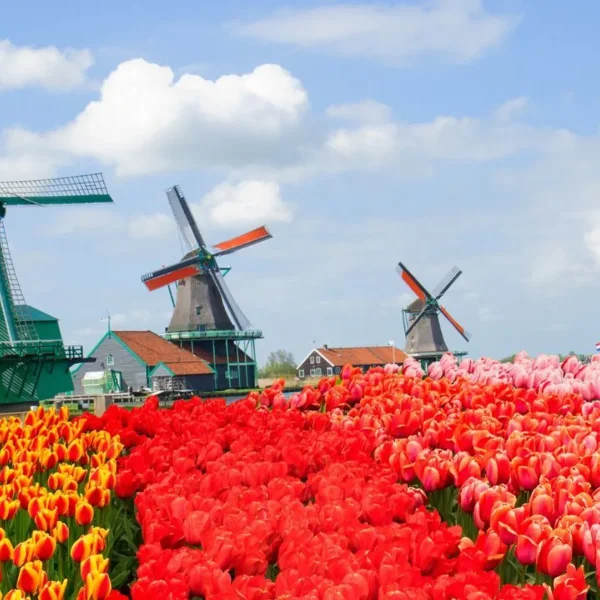 Ekspres Benelux & Paris Masalı Turu (AMS-CDG)