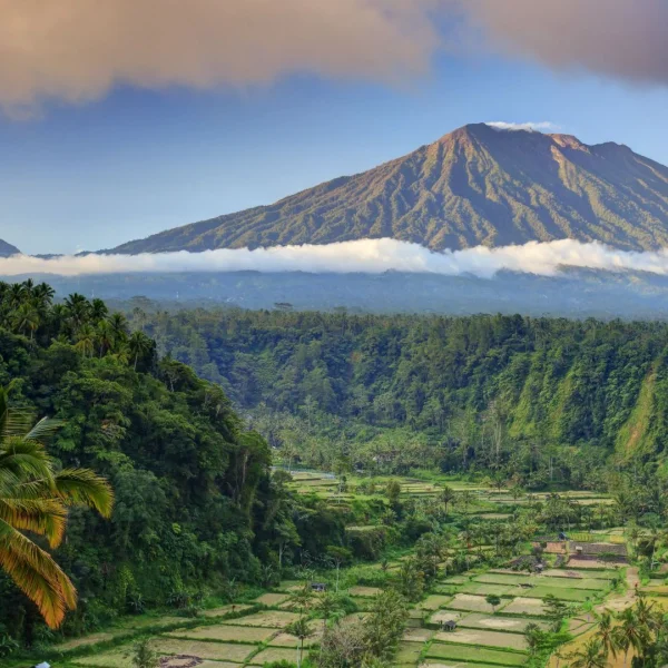 Tropik Rüya Bali Turu (DPS-DPS)
