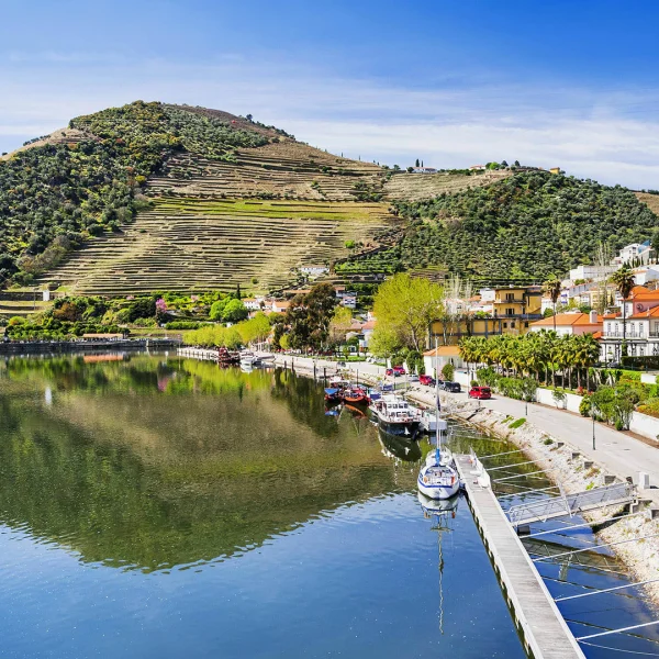 Douro Nehri Turları